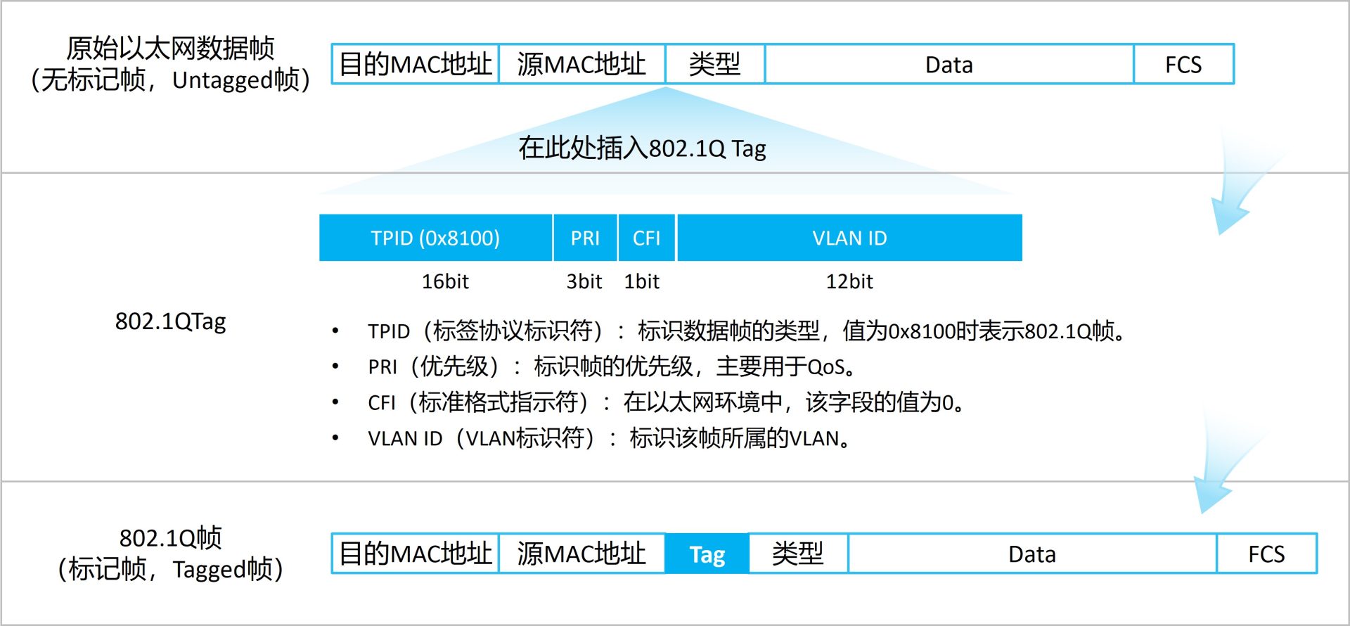 VLAN 数据帧在交换机内部的转发过程