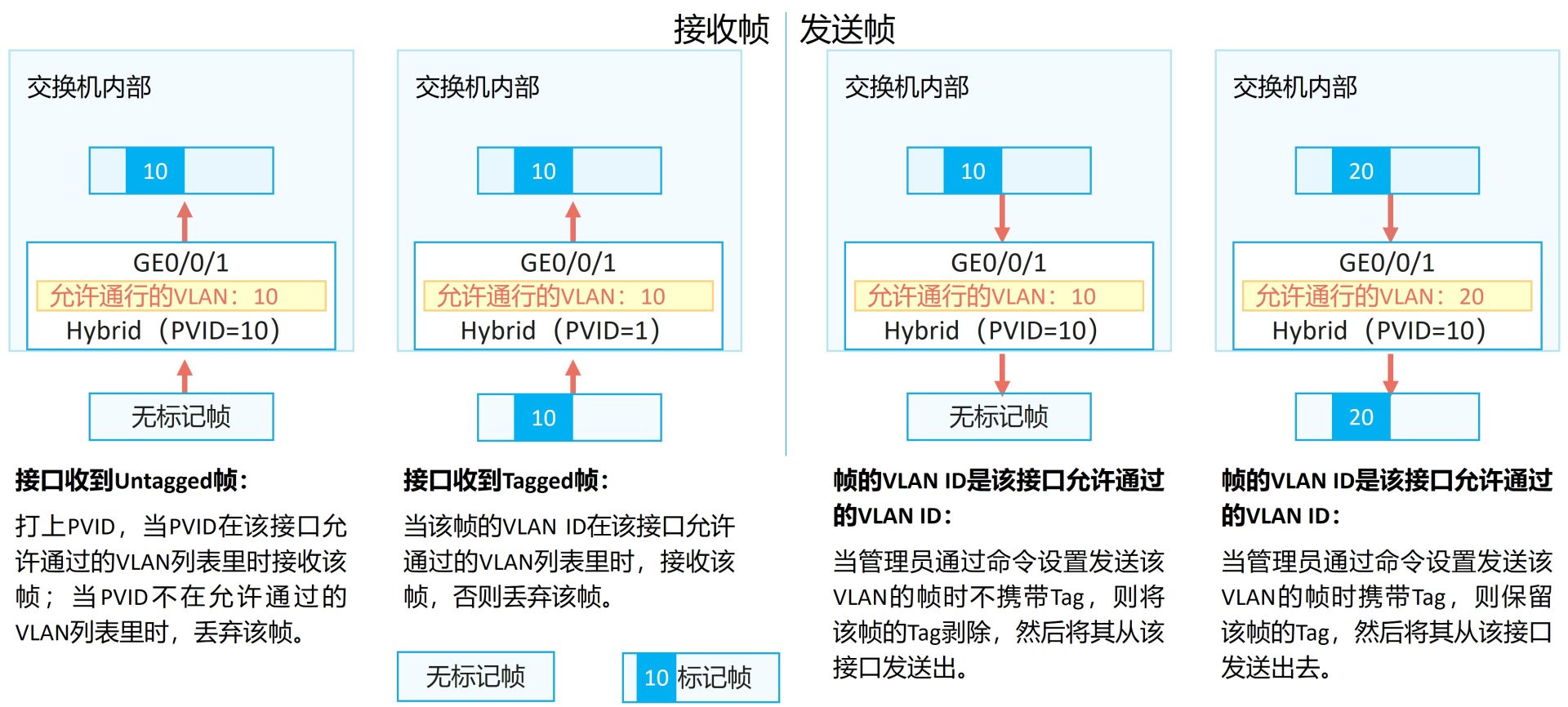 Hybrid 接口的收发规则:untagged 列表剥离标签,tagged 列表带标签发送