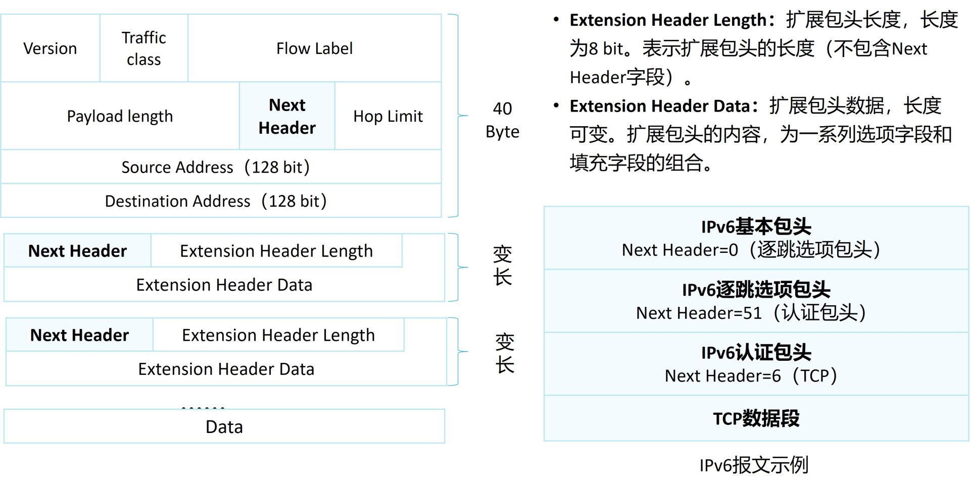 IPv6扩展包头由Next Header串联的结构示意图
