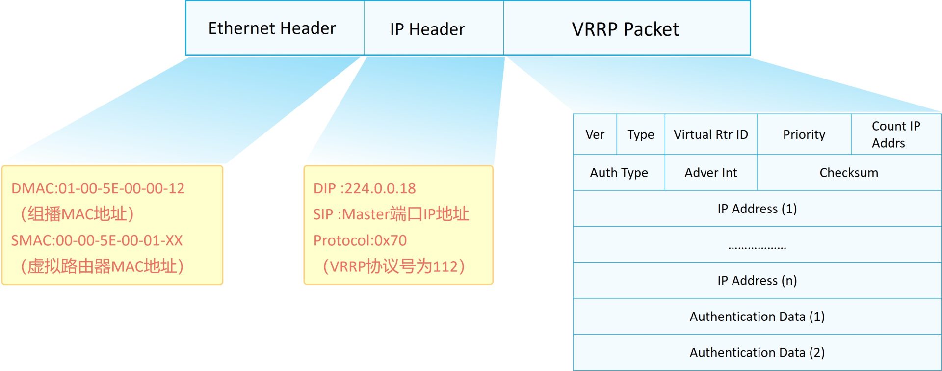 VRRP Advertisement 报文格式：版本、类型、VRID、优先级、通告间隔、校验和与虚拟 IP 列表等字段