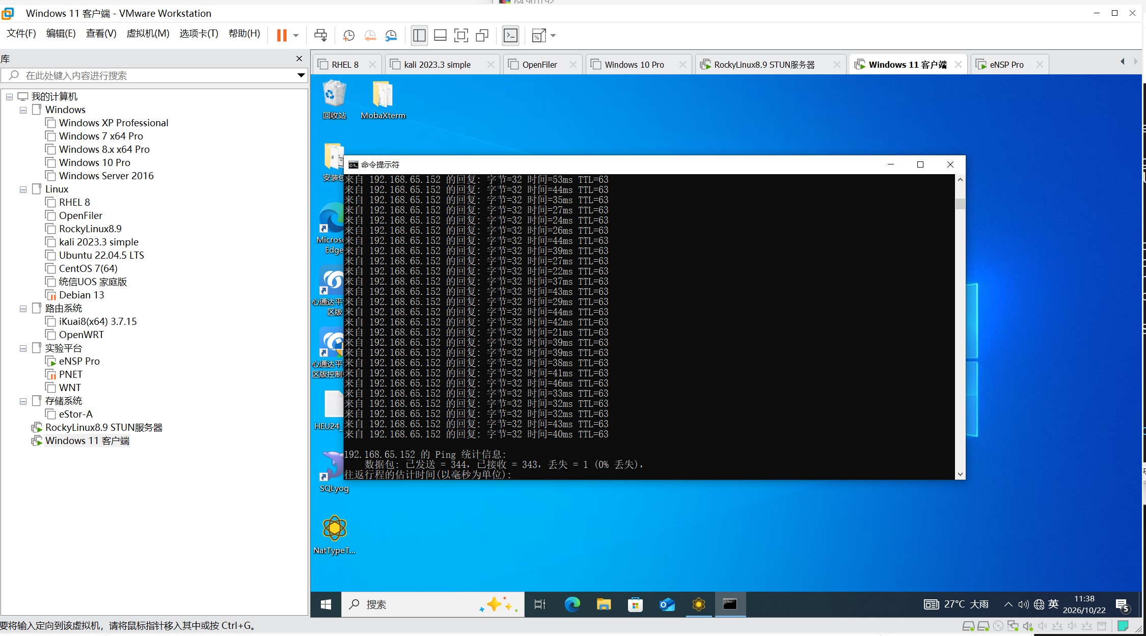 VMware 虚拟网络配置：VMnet1 承载模拟公网 192.168.65.0/24，VMnet9 承载模拟私网 192.168.66.0/24