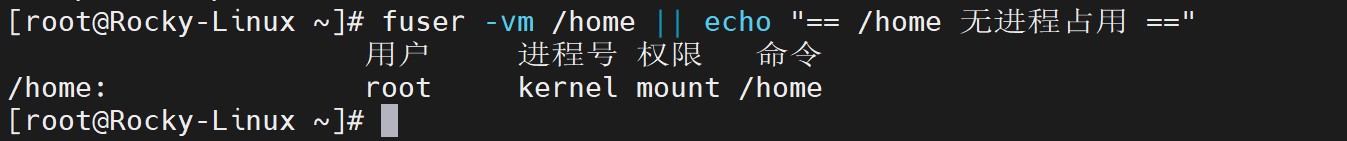 fuser 检查 /home,输出里只有 kernel mount,没有用户进程占用