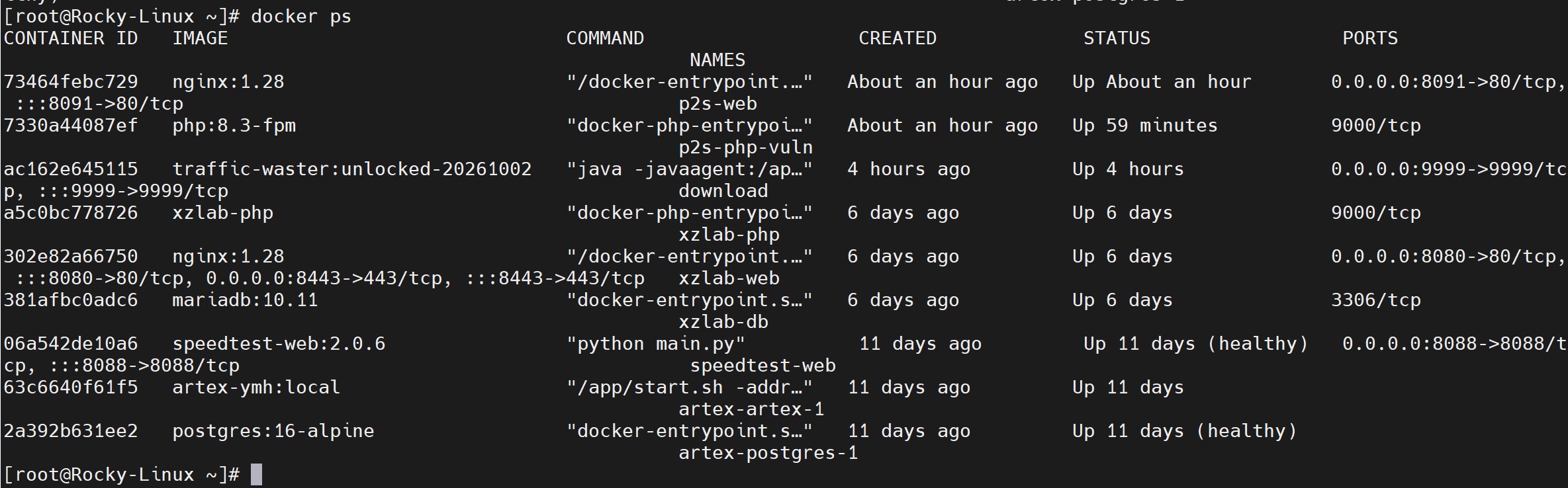 docker ps 输出显示 p2s-php-vuln 与 p2s-web 两个容器均为 Up 状态