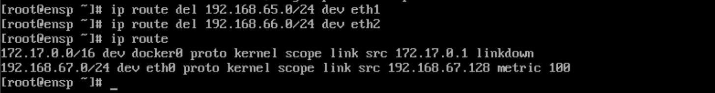 eNSP Pro 是台 Linux：ip_forward=1 且 eth1/eth2 在两个网段各有 IP，转发链却零计数